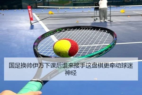 国足换帅伊万下课后谁来接手这盘棋更牵动球迷神经